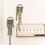 Lotus Appartement *