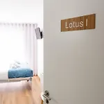 Lotus * Aveiro