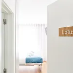 Appartement Lotus Aveiro