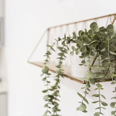 Lotus Apartmán Aveiro