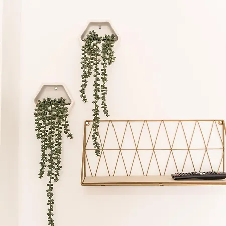 Lotus Appartement *