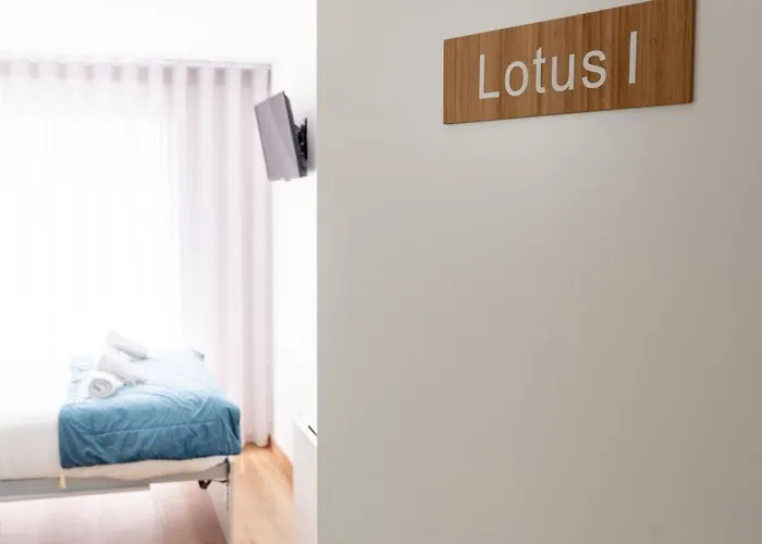 Lotus * אבאירו